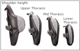 Jay 3 Models