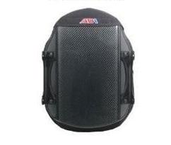 Carbon Fibre Back Support