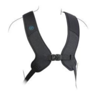 Pivotfit Shoulder Harness