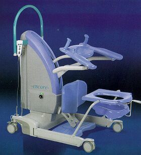 Stand Up Hoist