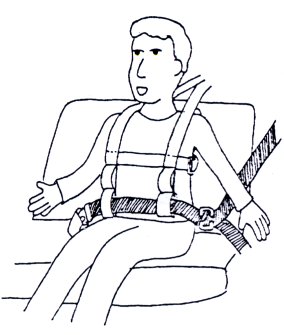 Harness In Use