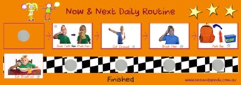 Daily Routine