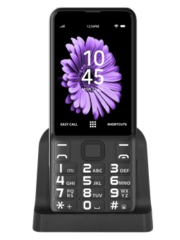 EasyBigButton 4G