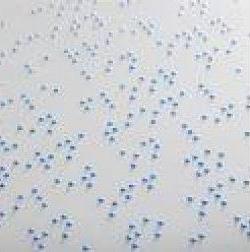 Sticky Braille Labels