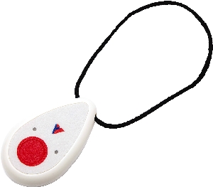 Caretaker's Pendant