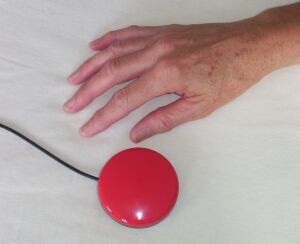 Buddy Button