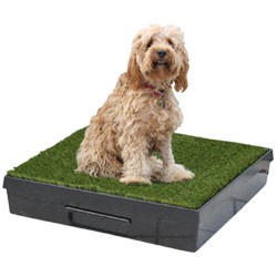 Pet Loo
