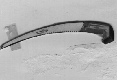 Pruning Saw