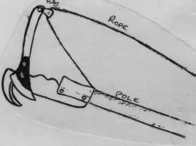 Telescopic Pruner