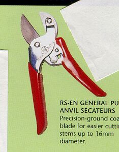 Anvil Secateurs