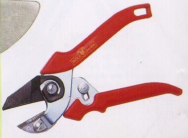 Cut & Grip Secateurs