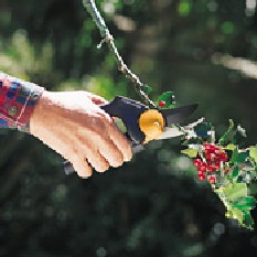 Powergear Pruner
