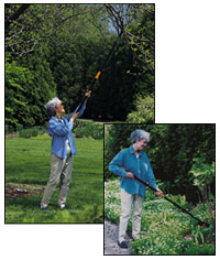 Pruner 9636