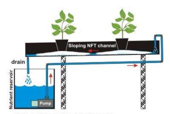 Hydroponics