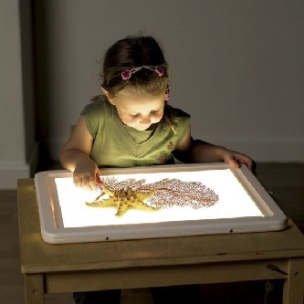 Light Box