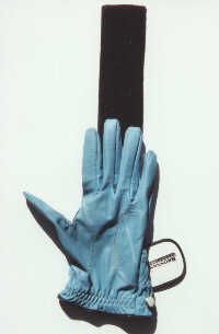 Golf Glove