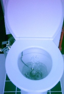 Oz Bidet installed