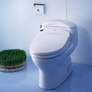 Toto Washlet Portable Bidets