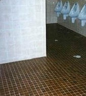 Bathroom Floorsafe
