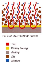 Brush Off Illustration