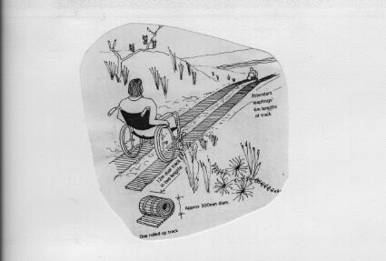 Sand Tracks Illust