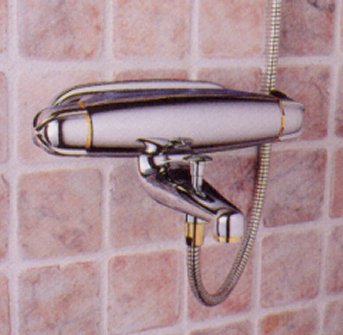 5500 Bath/Shower Exp