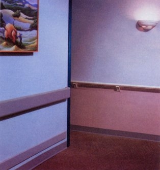 Wall Protection Systems