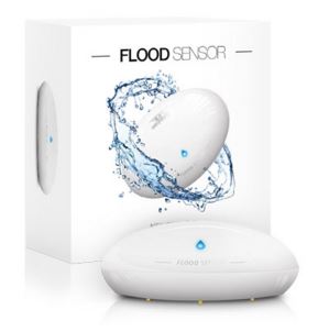 Wireless Flood Sensor