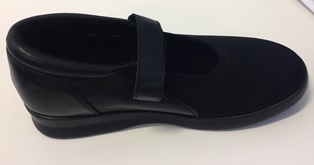 Customisable Shoe